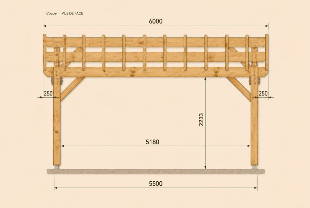 Carport bois Toit double pente 2 voitures MÉRIDIEN 6 × 6 m - Douglas