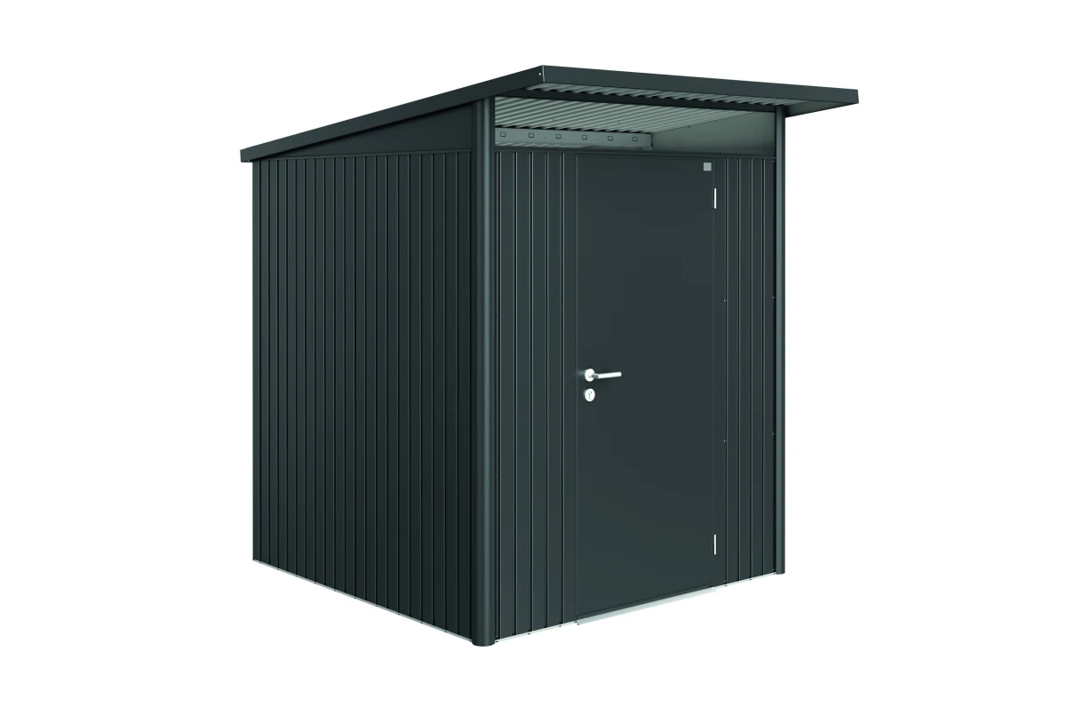 Abri métal BIOHORT AvantGarde A1 porte simple