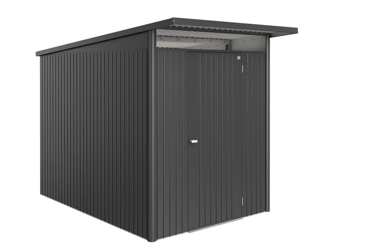 Abri métal BIOHORT AvantGarde ECO A3 porte simple