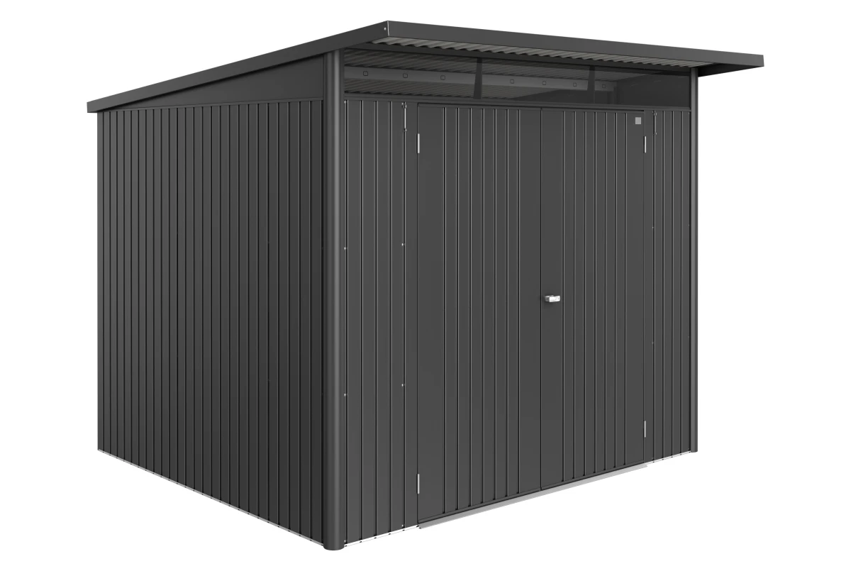 Abri métal BIOHORT AvantGarde ECO A6 double porte