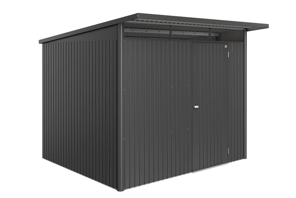 Abri métal BIOHORT AvantGarde ECO A6 porte simple