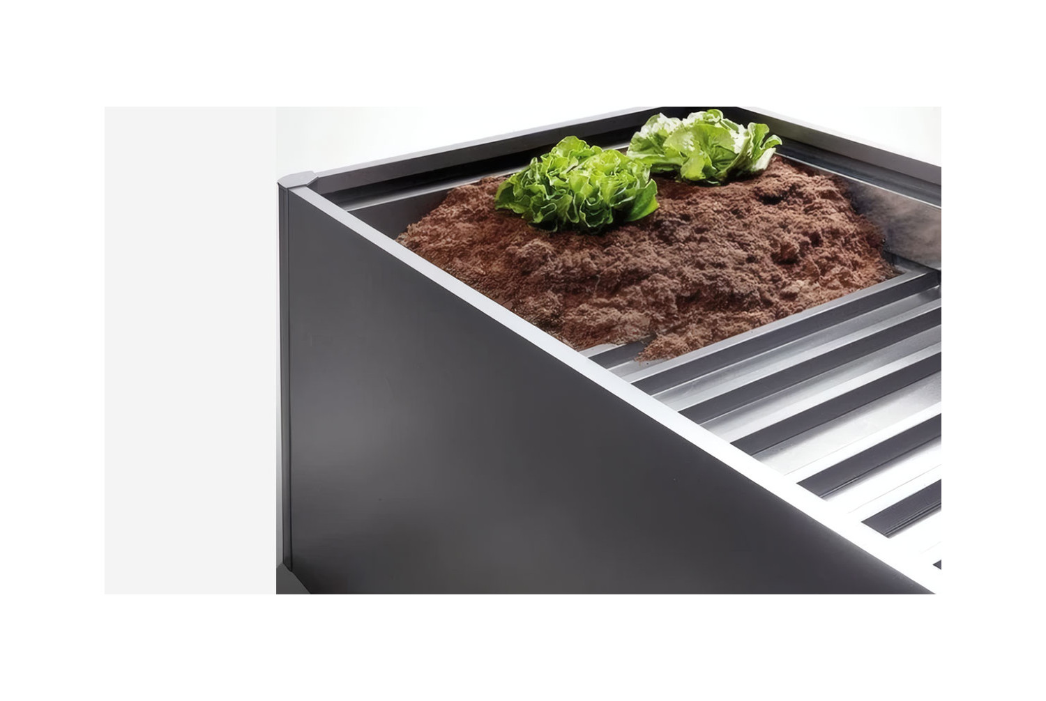 Sol intermédiaire potager surélevé T2x0,5