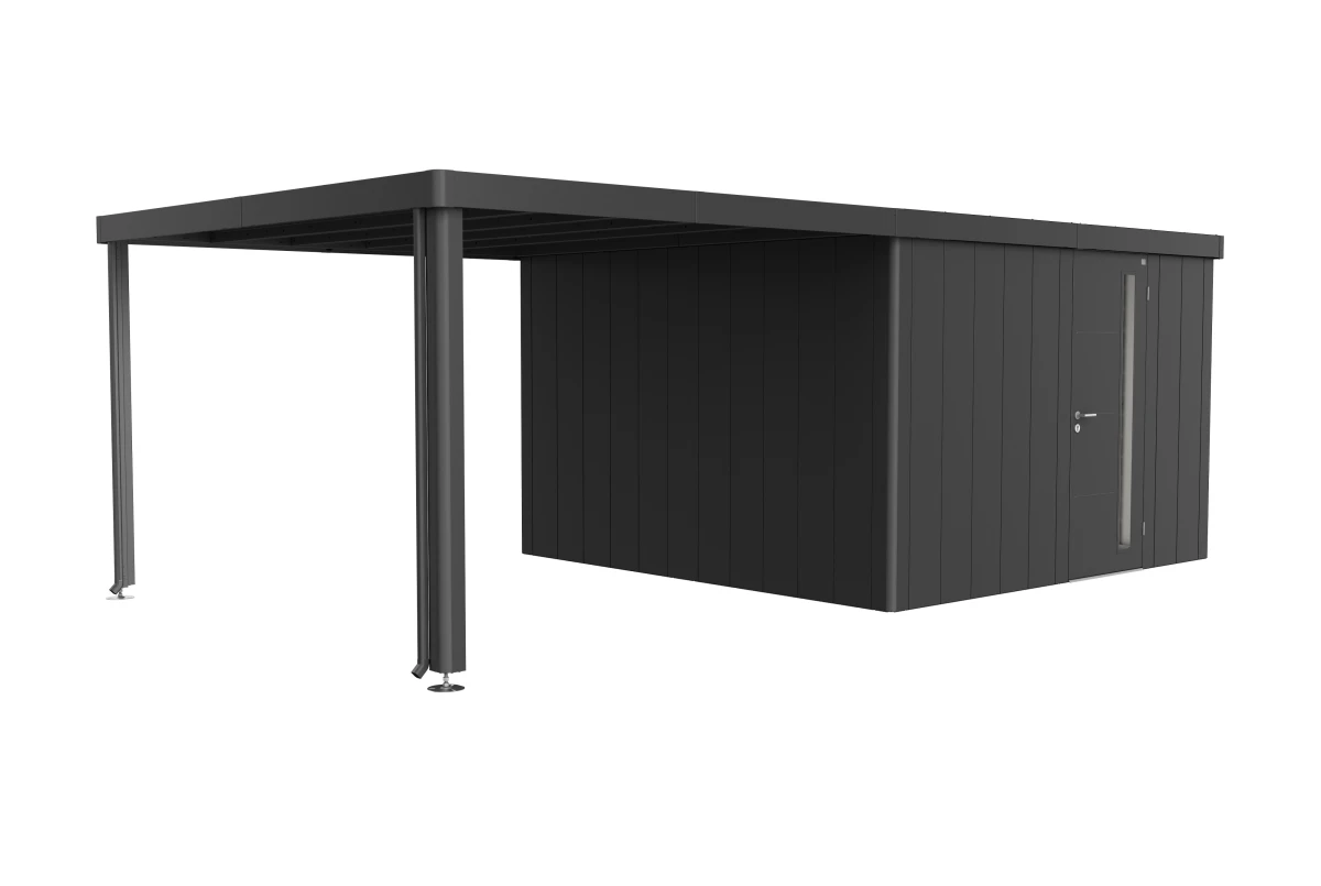 Auvent métal Biohort pour abri de jardin Neo taille 4A à 4D