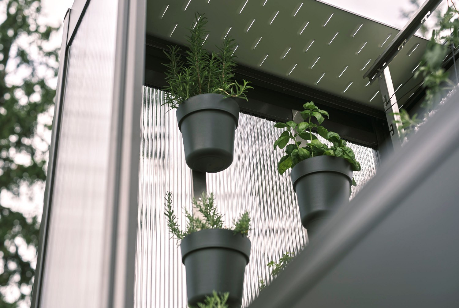 Set de pots de plantes pour serre Florentina 3 pots