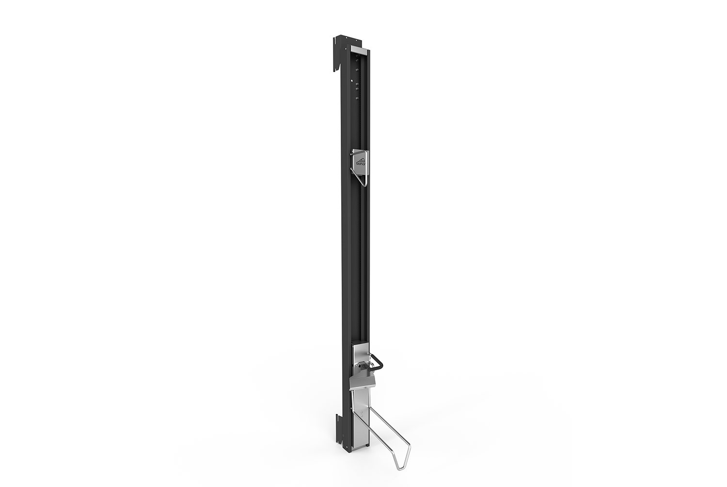 BikeLift Biohort pour l'abri de jardin NEO pivotant gris foncé métallique